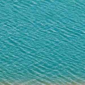 Meet your Posher, Tk